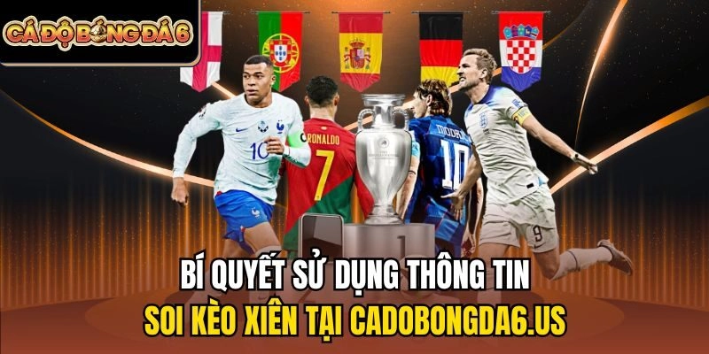 Bí quyết sử dụng thông tin soi kèo xiên tại cadobongda6.us