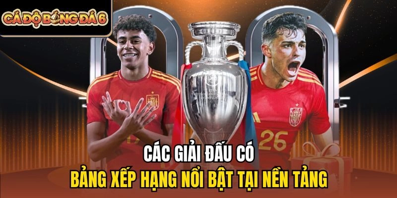 Các giải đấu có bảng xếp hạng nổi bật tại nền tảng