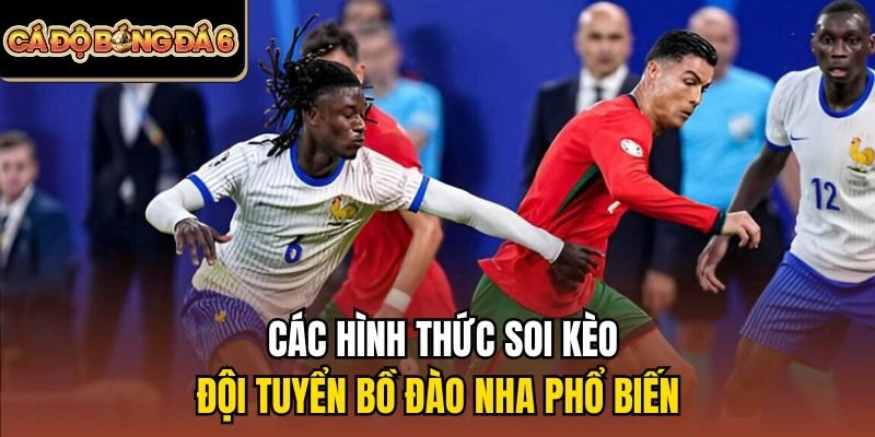Các hình thức soi kèo đội tuyển Bồ Đào Nha phổ biến
