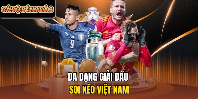 Đa dạng giải đấu soi kèo Việt Nam