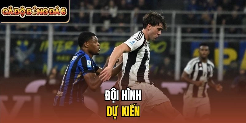Đội hình dự kiến