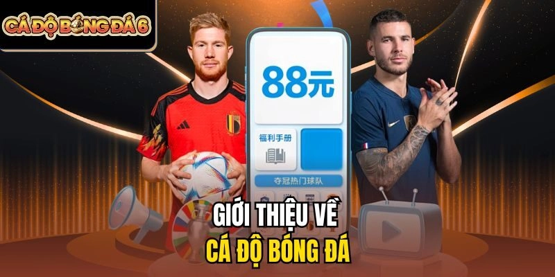 Giới thiệu về cá độ bóng đá