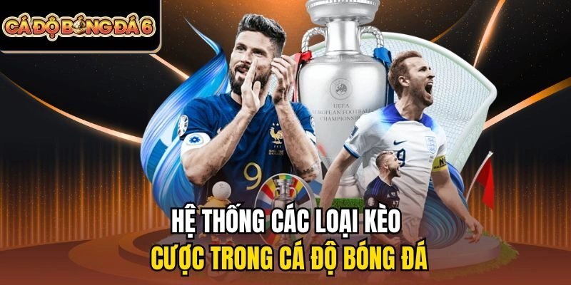 Hệ thống các loại kèo cược trong cá độ bóng đá