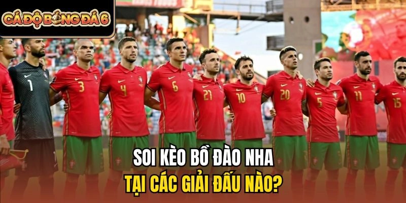 Soi kèo Bồ Đào Nha tại các giải đấu nào?