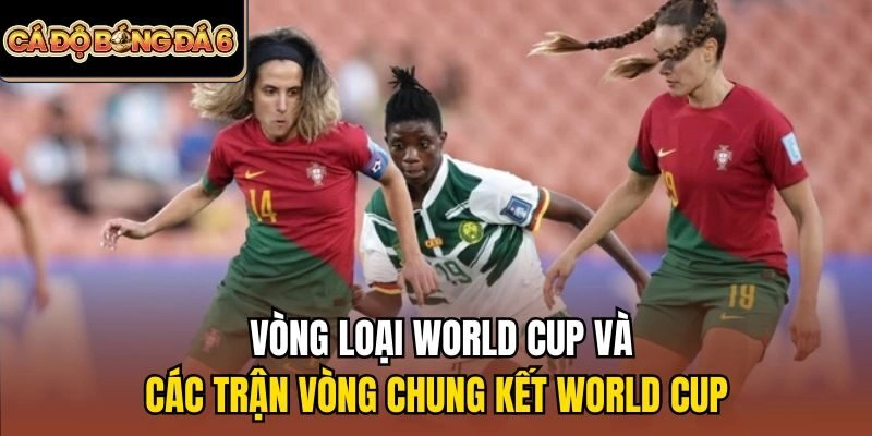 Soi kèo Bồ Đào Nha